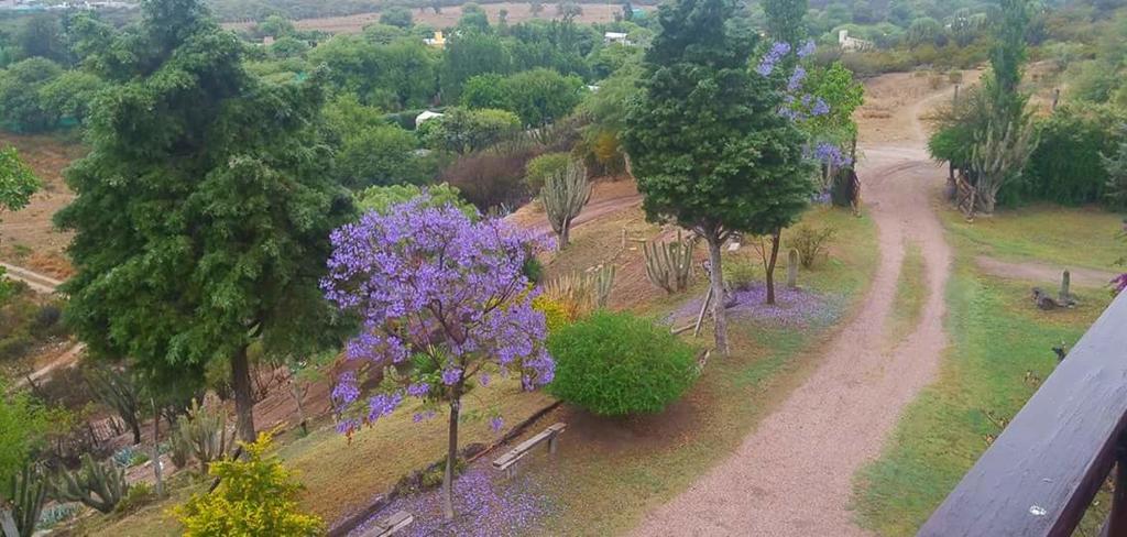 Cabanas Altos Del Velazco ラ・リオハ エクステリア 写真