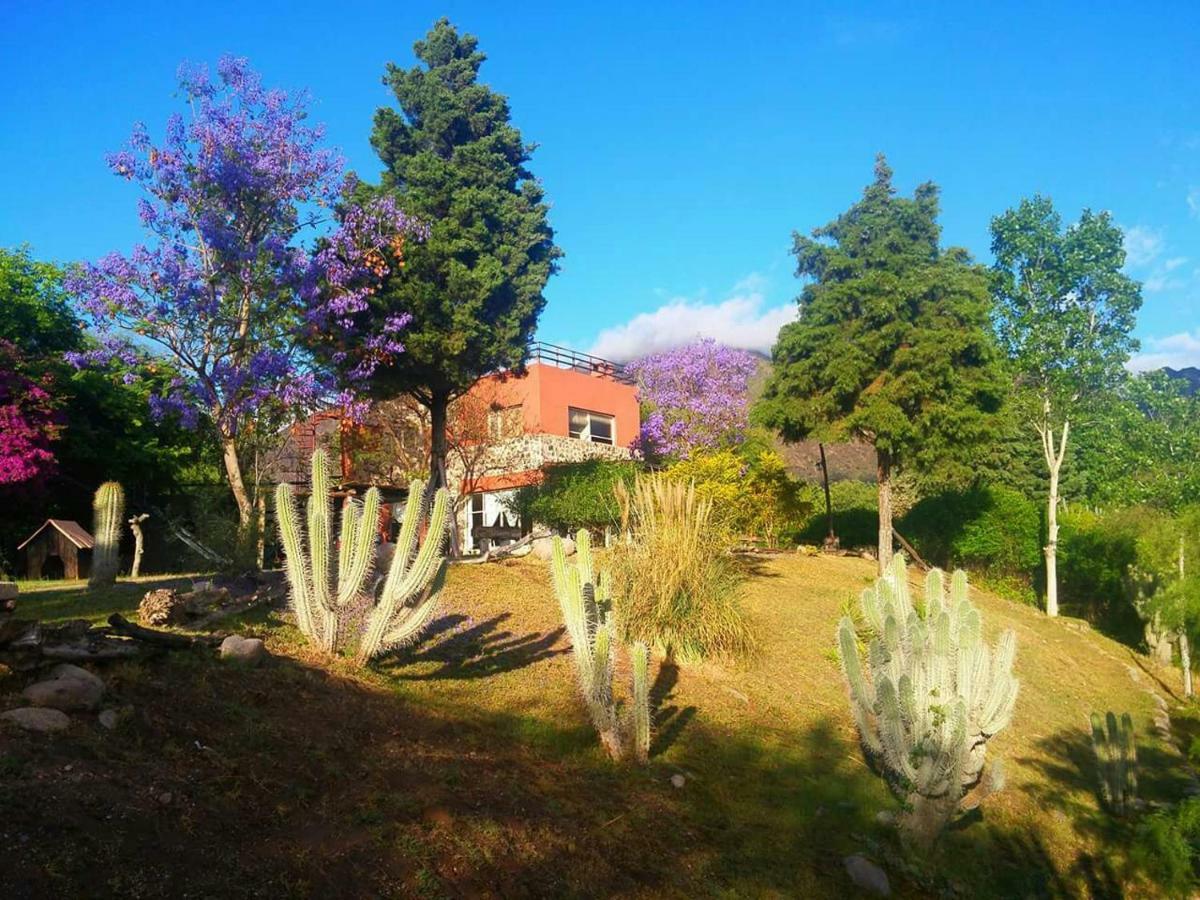 Cabanas Altos Del Velazco ラ・リオハ エクステリア 写真
